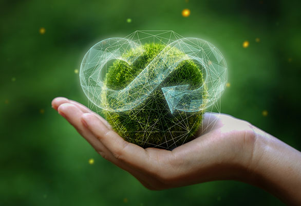 shutterstock_2177764705 low