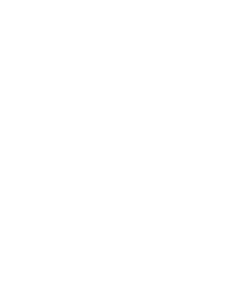 BIRN_GERMANY_Line_PO_White